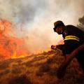 Δύο ανήλικοι οι φερόμενοι ως εμπρηστές στα Μέγαρα