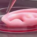 3d-bioprinting