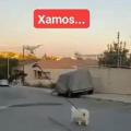 βόλτα με drone