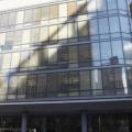 Νέα Υόρκη: Δεν πάσχει από τον ιό Έμπολα το 5χρονο αγοράκι