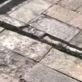 σεισμός Μεξικό
