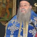 Μητροπολίτης Τρίκκης και Σταγών Αλέξιος
