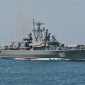 805435.jpg
