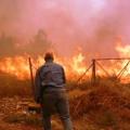 Υπό μερικό έλεγχο η φωτιά στα Μουλιανά Σητείας