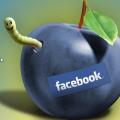 8808-fbook_virus.jpg