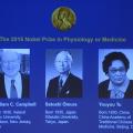 medicine_nobel.jpeg