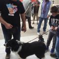 εκδηλωση για αδεσποτα δημου