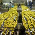 agro-600-x-375.jpg
