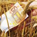 agrotes-opekepe.jpg