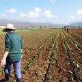 ΟΑΣΝΗ: Δεν δικαιούνται να μας κρίνουν άτομα που δεν είναι αγρότες 