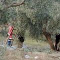 Παράσταση διαμαρτυρίας στη ΔΟΥ Ηρακλείου από τους αγροτικούς συλλόγους Αρχανών και Αστερουσίων