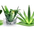 Φτιάξε μόνη σου gel από aloe vera