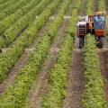 Μέχρις τις 15 Σεπτεμβρίου τα 12,5 εκατ. ευρώ της εξισωτικής αποζημίωσης στους αγρότες