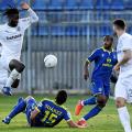 asteras-poa.jpg