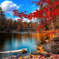 autumn.jpg