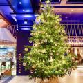 χριστουγεννιάτικο δέντρο στο λόμπι του Kempinski Hotel Bahia.jpg