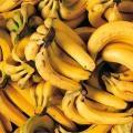Ο μύκητας που απειλεί να αφανίσει τις μπανάνες