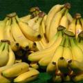 Ένα καμιόνι μπανάνες έφαγαν οι Τροϊκανοί στο Παρίσι 