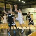 basketofi_.jpg