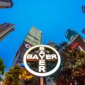 bayer