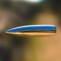 bullet.jpg