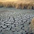 Σε κατάσταση έκτακτης ανάγκης η Καλιφόρνια, λόγω ξηρασίας