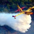 canadair-660_0_0.jpg