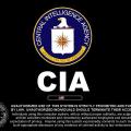 ΗΠΑ:Να αποχαρακτηριστεί έκθεση για βασανιστικές τεχνικές ανάκρισης από τη CIA ζητούν γερουσιαστές 
