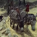 Ένα σπάνιο βίντεο από την "τουριστική" Κρήτη του 1964!
