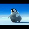 Κρητικός χορός από έναν ... πιγκουϊνο