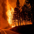 Δασική πυρκαγιά στην Καλιφόρνια