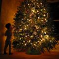 Ορθόδοξο και Βυζαντινό έθιμο το Χριστουγεννιάτικο δένδρο