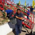 δενδροφύτευση αεροδρόμιο