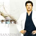 derek-dr-derek-shepherd-2922898-1440-900.jpg