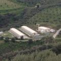 Δημοτικό Κυνοκομείο Ηρακλείου