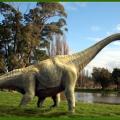 Δεινόσαυρος ... βαρέων βαρών ανακαλύφθηκε στην Παταγονία