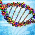Επιστήμονες κατάφεραν να κάνουν &quot;copy paste&quot; το DNA