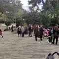 Φιλοζωική Ρεθύμνου