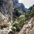 φαραγγι ζαρου