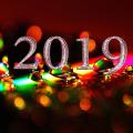 2019