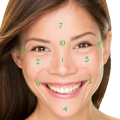 face-mapping.png