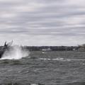 φάλαινα στο ποταμό Ηudson στο Μανχάταν