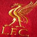 fanela_liverpool1.jpg