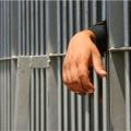 12 χρόνια κάθειρξη στον κτηνοτρόφο για τη χασισοφυτεία στις Μαλάδες