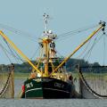 fishing-boat-2645137_960_720.jpg