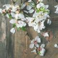 flat-lay-of-spring-easter-table-setting-with-p96gfa2.jpg