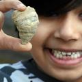 Εξάχρονος ανακάλυψε απολίθωμα σχεδόν 500 εκατ. ετών στον κήπο του