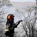 ΕΛΓΑ: Αποζημιώσεις  σε Βιάννο και Άγιο Βασίλειο Ρεθύμνου για τις πυρκαγιές 