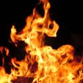 Φωτιά σε καλάμια αναστάτωσε τους κατοίκους της περιοχής του Γιόφυρου