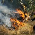 Σε ύφεση η φωτιά στη Σιθωνία Χαλκιδικής - Εγιναν στάχτη 700 στρέμματα δάσους